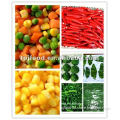 frozen food market( vegetable crops) with FDA,BRC,HALAL,HACCP,KOSHER